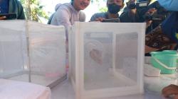 Nyamuk Wolbachia Disebar di Banyumanik dan Tembalang, IDI Semarang: Tak Perlu Khawatir <
