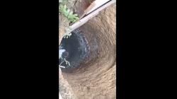 Sumur Tua Milik Warga Sintang Keluarkan Minyak Mirip Pertalite, Bisa Digunakan untuk Motor<