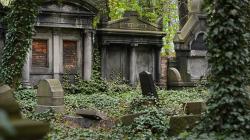 5 Arti Mimpi Keluarga Meninggal, Bikin Merinding!