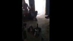 Viral Guru dan Siswa Diduga Pesta Miras di Ruangan Kosong Tempat Parkir, Ini Faktanya