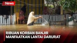 Gunakan Lantai Darurat, Ribuan Korban Banjir di Aceh Singkil Memilih Bertahan di Rumah
