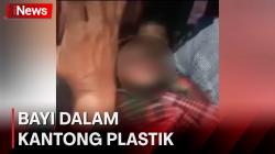 Viral! Warga Buton Temukan Bayi Hidup Terbungkus Kantong Plastik 