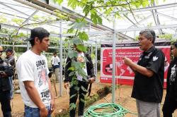 Relawan Ganjartivity Gelar Edukasi Penanaman Anggur untuk Bantu Ekonomi Warga di Sukabumi<