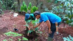 Tambah Ekosistem Satwa, Bandung Zoo Tanam Puluhan Pohon Keras dan Buah <