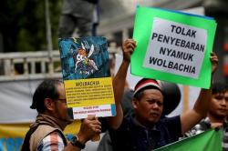 Aksi Tolak Penyebaran 200 Juta Nyamuk Wolbachia