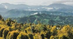 Kampung Unik di Gorontalo, Desa Kecilnya Ada Puncak Diselimuti Awan Suasananya Menakjubkan 