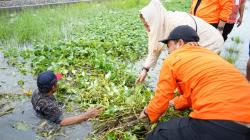  Kaligawe Langganan Banjir, Wali Kota Semarang Minta Jembatan Nogososro Ditinggikan<