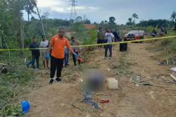 Sakit Hati, Buruh Kebun di Jambi Tebas Leher Juragan hingga Tewas<