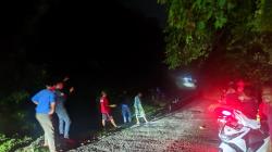 Pikap Elpiji Terjun ke Jurang 20 Meter di Tanjakan Cisarakan Sukabumi, Sopir Luka Parah<