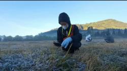  Fenomena Embun Es di Dieng Dampak El Nino, Ini Penjelasan Pakar Klimatologi BMKG<