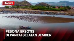 Menilik Pesona dan Eksotisnya Teluk Cinta yang Tersembunyi di Pantai Selatan Jember