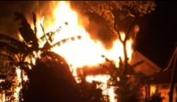 Kandang di Semarang Ludes Terbakar, Seekor Sapi Mati Terpanggang