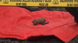 Kronologi Temuan Mortir di Proyek Waduk Resapan Air Mojokerto, Awalnya Dikira Besi Kuningan<