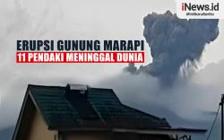 Infografis Gunung Marapi Erupsi, 11 Pendaki Meninggal Dunia