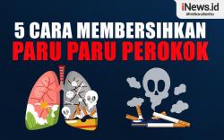 Infografis 5 Cara Membersihkan Paru Paru Perokok
