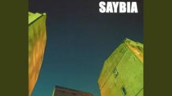 Makna dan Lirik Lagu The Second You Sleep - Saybia