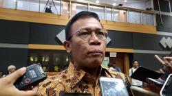 PDIP soal RUU Pilkada Disetujui meski Anulir Putusan MK: Udahlah, Ini Kan Maunya Istana