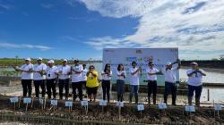 BritAma Tanam 30.000 Mangrove di Benoa Bali, Jaga Ekosistem Pesisir dan Kelestarian Bumi