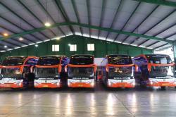 PO Rosalia Indah Rilis 5 Unit Bus Baru, Gagah Pakai Bodi Skylander R22