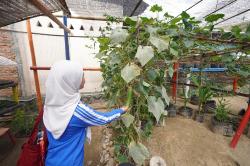 Begini Cara BRInita Sulap Lahan Timbunan Sampah Jadi Tempat Bercocok Tanam