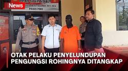 Dalang Penyelundupan Pengungsi Rohingya ke Aceh Ditangkap, Ternyata Warga Bangladesh