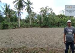 Program TEKAD Menjanjikan, KPB di Maluku Tengah Akan Perluas Lahan Ubi Jalar<