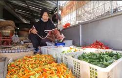 Harga Cabai di Sleman Meroket, Tembus Rp85.000 per Kg<