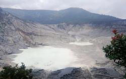 Viral Tangkuban Parahu Erupsi, Ini Kata Petugas Pengamatan Gunung Api soal Kondisi Sebenarnya<