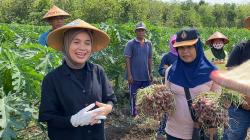 Siti Atikoh Ganjar Ungkap Alasan Sering Senyum: Sedekah Sekaligus Cegah Pikun