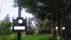 Kota Bandung Dikotori Atribut Kampanye Langgar Aturan, Bawaslu: Segera Ditertibkan<