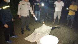 Sadis, Pria Bengkulu Bacok Remaja Pakai Senjata Pendekar gegara Kesal Dengar Suara Cekcok<