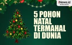 Infografis 5 Pohon Natal Termahal di Dunia