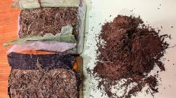 Polisi Tangkap 2 Pengedar Narkoba di Cimahi dan KBB, 3 Kg Ganja Diamankan