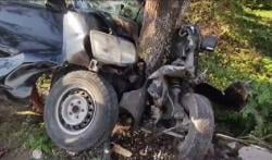 Kecelakaan di Lamongan, Pikap Oleng Tabrak Pohon hingga Hancur, Sopir Kritis