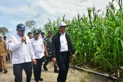 Kunjungi Food Estate di Gunung Mas Kalteng, Mentan: Ini untuk Masa Depan Anak Cucu Kita