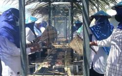 Warga Tidore Pecahkan Rekor MURI Makan Sate Ikan Terbanyak 26.000 Tusuk<