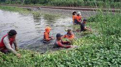 Antisipasi Longsor di Musim Hujan, Daop 4 Tanam Rumput Akar Wangi di Sepanjang Jalur KA<