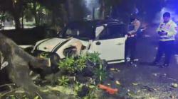 Kecelakaan Mobil Mini Cooper Tabrak Motor hingga Pohon di Surabaya, 1 Orang Luka