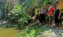 Tragis, Balita di Grobogan Tewas Tenggelam di Kolam akibat Kelalaian Orang Tua