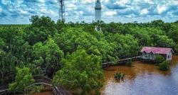 Mengintip Keindahan Hutan Bakau Sungai Kupah Kalbar, kini Jadi Destinasi Unggulan