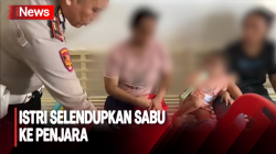 Jenguk Suami di Penjara, Polisi Gagalkan Penyelundupan Sabu Seorang Istri di Labuhanbatu Selatan