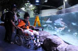 OT Group Ajak Anak Berkebutuhan Khusus Melihat Satwa Akuatik