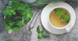 Cara Mengolah Daun Mint, Nikmat Dijadikan Teh hingga Scrub