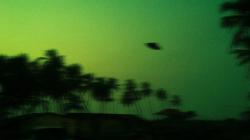 Temuan Alien Bikin Geger Sepanjang 2023, Ada yang Dipamerkan di Parlemen Meksiko