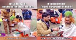 Viral Seorang Pria Nekat Tanam Padi di Kepala, Ternyata Ini Alasannya!
