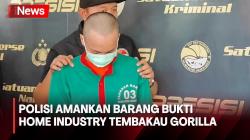 Bongkar Home Industry Tembakau Gorilla, Polisi Amankan Sejumlah Barang Bukti