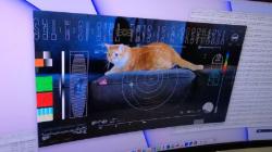 Dari Jarak 19 Juta Mil, NASA Berhasil Pancarkan Video Streaming Kucing ke Bumi 