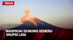 Gunung Semeru Erupsi Lagi, Ketinggian Letusan Capai 1000 Meter