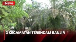 Sungai Kampar Meluap, 3 Kecamatan Terendam Banjir
