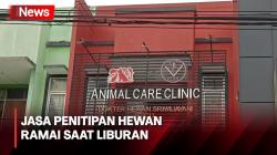 Berkah Libur Nataru, Jasa Penitipan Hewan di Cianjur Laris Manis 